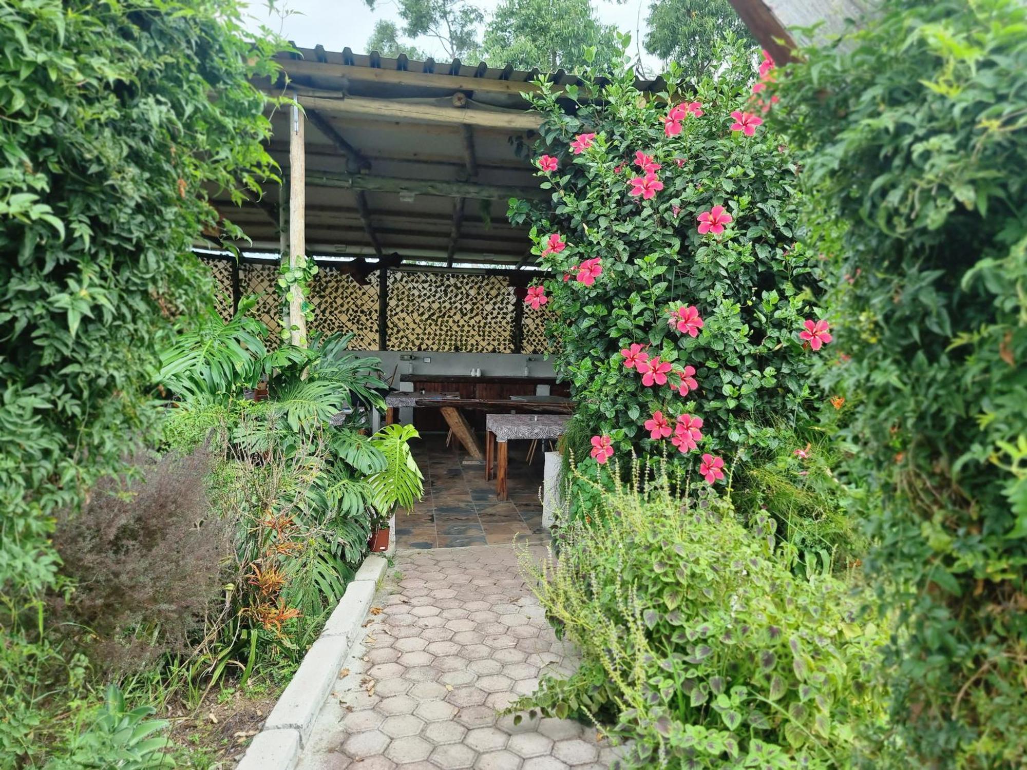 Goggas Nest Bnb & Restaurant Matsapha Екстериор снимка